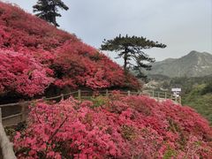 -木兰云雾山