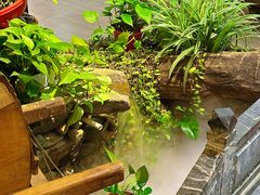 -大理董·董家小厨野生菌火锅(古城旗舰店)