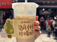 -猫的魔法密林(衣裳街店)