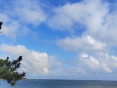 -万和春排骨砂锅米饭(新业广场店)