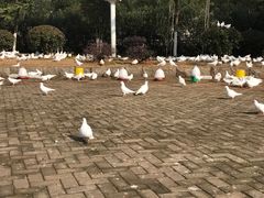 -南昌之星游乐场