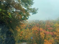 -神农架景区