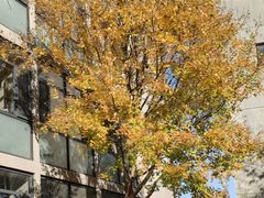 -中央戏剧学院(昌平校区)