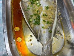 姜容鲈鱼-石岐乳鸽村(桥观坊南四巷店)