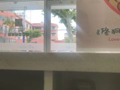 -艾吉宠物医院·疑难杂症转诊中心·猫友好(碧江路院)