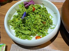 -雀舞云南菜(乐客城店)