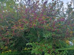 -廊坊文化艺术中心