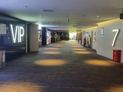 -中影国际影城(西溪印象城CINITYLED店)