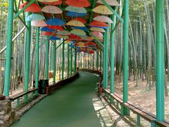 -陶祖圣境风景区