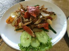 -Jungle Kitchen