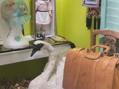 -恋物百货商店(华侨城店)