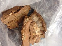 排骨-济南孟家扒蹄店