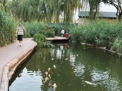 -三里河公园