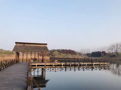 -溱湖国家湿地公园