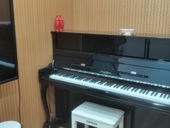 -珠江钢琴艺术中心(文一路店)