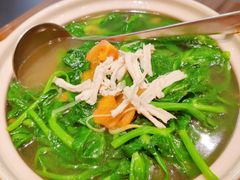 十秒鸡丝豌豆尖-眉州东坡·熊猫主题餐厅(枫蓝店)