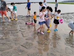 -南汇嘴观海公园