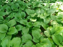 -丰台科技园生态主题公园