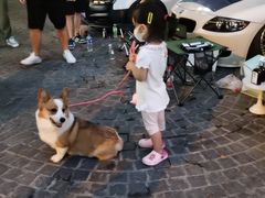 -巴厘龙虾·榜首油焖大虾(洞庭·艺术洋房店)