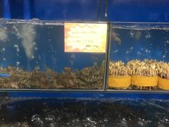-蚝专家(北滘店)
