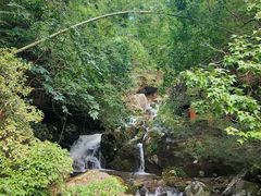 -大围山国家森林公园