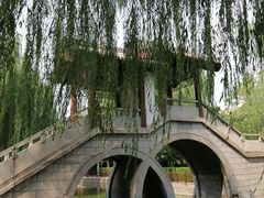 -团结湖公园