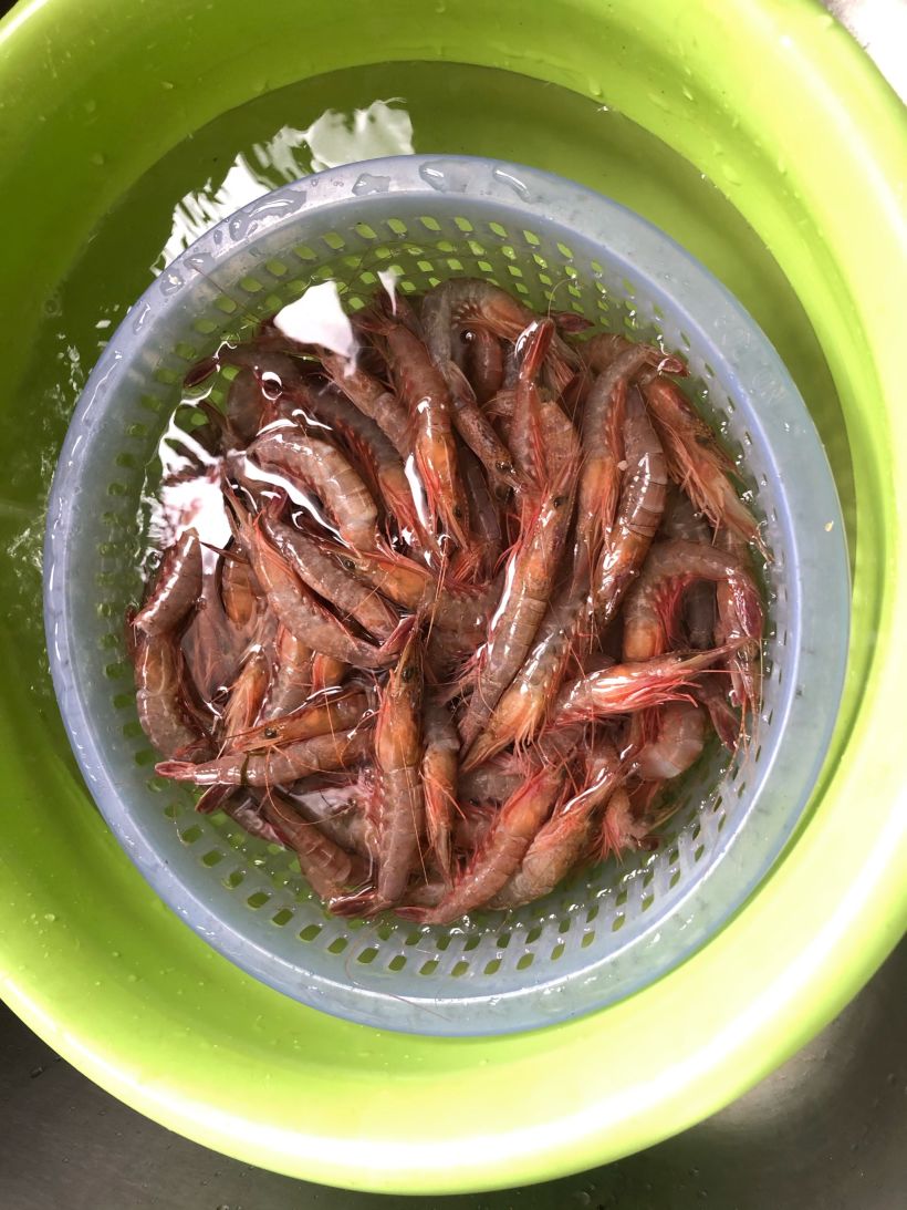 舟山条虾08鲜美无比-吃在上海-大众点评社区