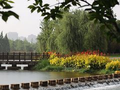 -洋湖国家湿地公园