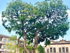 -赤坎·广东华侨国际旅游度假区