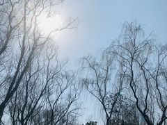 -昆山城市生态森林公园