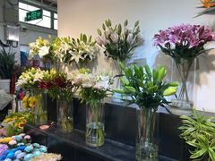 -双季花艺园艺市场(浦东店)