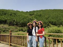 -塞罕坝国家级自然保护区