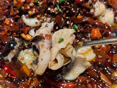 -川堂风·跷脚牛肉·乐山爆炒(宝山日月光店)