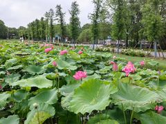 -嘉北郊野公园