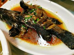 葱油石斑鱼-渔中舟海鲜大排档(普陀沈家门店)