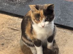 -鑫宝沙茶牛肉火锅(永泰店)