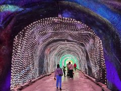 -栾川竹海野生动物园