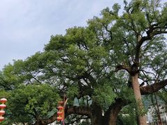 -新安江山水画廊风景区