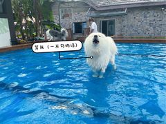 -太阳岛度假酒店