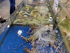 -东江海鲜酒家(艺都分店)