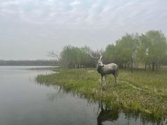 -溱湖国家湿地公园