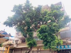 -霏梵印象公园摄影基地