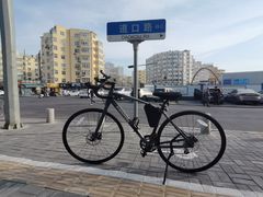 -道路口单车爱瓦士dahon大行