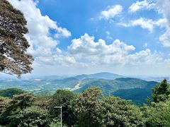 -黄埔油麻山森林公园