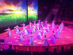 内景舞台表演-武汉杂技厅