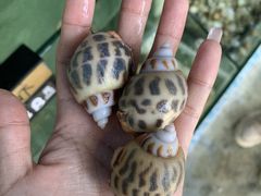 -新欢海鲜坊(赖屋店)