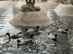 -森林公园(尖草坪区)