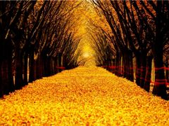 -艾山风景名胜区