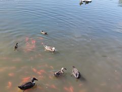 -前关湿地公园