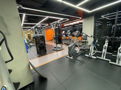 -健身专家Wellness Experts